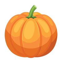 A cartoon pumpkin on a white background vector