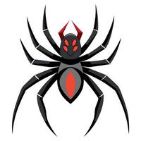Black widow spider vector