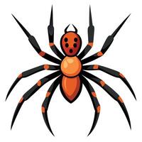 A spider with black and orange markings vector