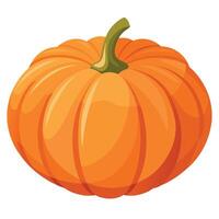 Top down view of an orange pumpkin isolated on a white or transparent background. autumn season overlay mockup vector