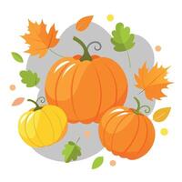 Top view of orange pumpkins and autumn leaves on gray background vector