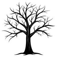 A black and white tree with no leaves vector