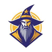 The wizard mascot for a basketball team vector