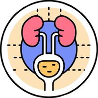 An illustration of a kidney in a circle vector