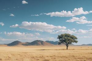 A lone tree in the middle of a field photo