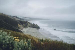 A view of the ocean and cliffs from a hill photo