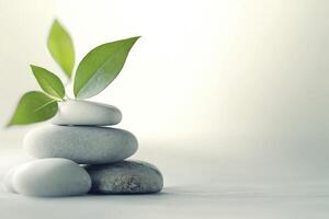A stack of stones with a green plant on top photo