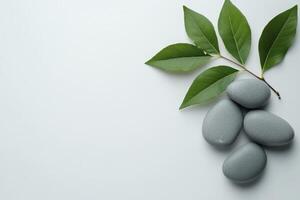 Three stones and a leaf on a white background photo