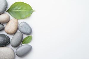 A group of stones and leaves on a white surface photo