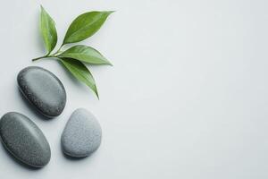 Three stones and a leaf on a white background photo