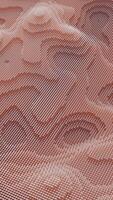 Abstract light pink motion of waving dots texture with glowing defocused particles. Animation. Cyber or technology digital background with grainy texture, seamless loop. video