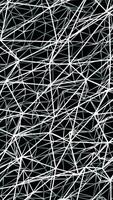 Beautiful background of white connected frames on black background, seamless loop. Animation. Monochrome glowing white lines and dots flying in the dark. video