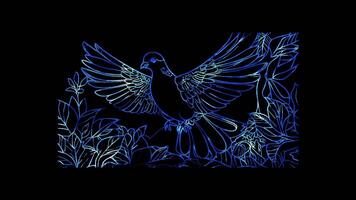 Neon frame effect, Dove Represents peace and resolution in governance on black background video