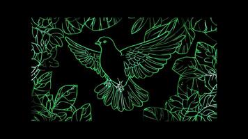 Neon frame effect, Dove Represents peace and resolution in governance on black background video