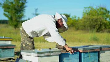Beekeeper is working with bees and beehives on the apiary. Beekeeper gets a frame with honey. Fumigation machine for bees, smoke video
