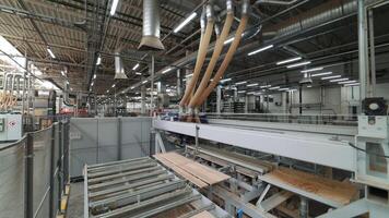modern process of working of floorboard on an automated line. A waste avoidance video