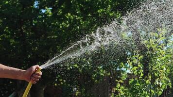 Pure running water flows out of the rubber hose when watering the lawn. Slow motion. video