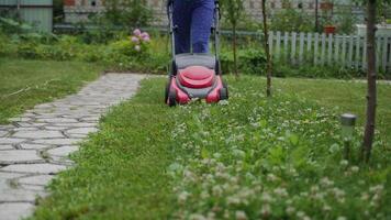 human is controlling the work of lawn mower near the path in the yard in the summer. The lawn mower consistently is mowing grass video