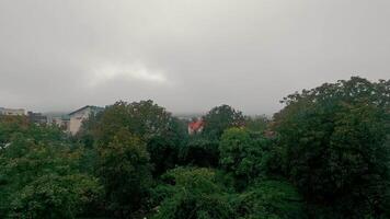 Time-lapse overcast view of a residential area with dense trees. A cloudy, overcast day over a residential area with lush greenery in the foreground. video