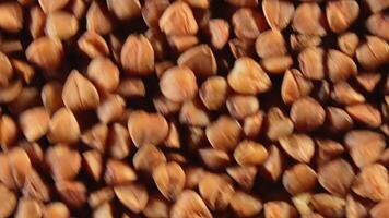 Dry Uncooked Brown Buckwheat Groats, Rotating Clockwise - Top View, Close-Up, Macro. Raw Large Buckwheat Grains. Russian, Ukrainian and Belarusian Culture. Rotation Right video