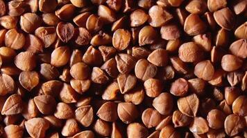 Dry Uncooked Brown Buckwheat Groats, Slowly Rotating Background - Top View, Close-Up, Macro. Raw Large Buckwheat Grains. Russian, Ukrainian and Belarusian Culture. Rotation Right video