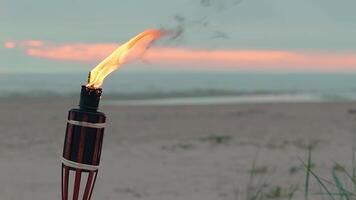 Tropical Bamboo Torch Burning in the Beach at Summer Evening. Decorative Candle Has a Massive Orange Flame Using Oil Fuel or Kerosene - Slow Motion. Static Shot video