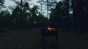 The Flame is Burning in the Grill. Lighting Fire in the Brazier. Kindling Coals in the Mangal. Preparing for a Barbecue Grill Cooking. Static Shot, Super Slow Motion video