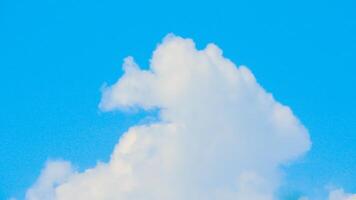 A single, fluffy white cloud drifts across a clear blue sky. The cloud is small and delicate, with soft, rounded edges. The sky is a deep, vibrant blue, with no other clouds in sight. photo