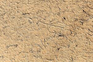 Textured plaster background to create a background or textures for the design photo