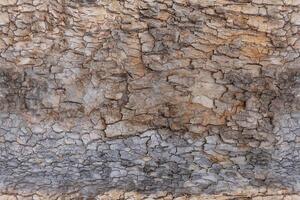 Granular material, solid wood with a structural surface for design textures. Grunge panel with rough coating photo