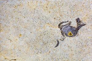 Photo Stone veined pattern useful as a background or texture