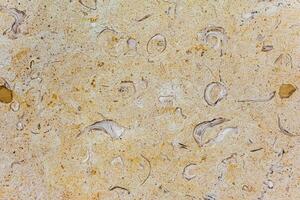 Photo Stone veined pattern useful as a background or texture