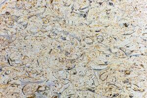 Photo Stone veined pattern useful as a background or texture
