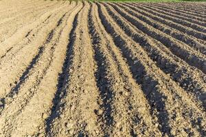 Plowed field for planting vegetables and various cereals photo