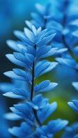 Close-up of blue leaves with detailed texture on a blurred green and blue background. Nature and foliage concept photo
