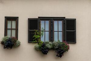 A large window with black shutters and a flower box is on a building with beige walls photo