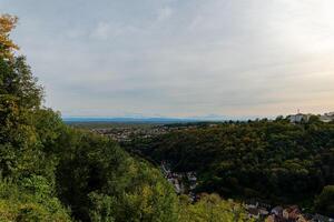 A view of a valley with trees in the foreground and a cityscape in the distance photo