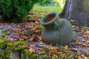A large, green clay pot sits beneath a tree in a garden with fallen leaves photo