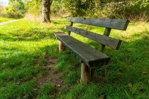 A wooden bench sits in a grassy field on a sunny day, near a path winding through the trees photo