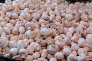 A close-up shot of a large quantity of white button mushrooms photo