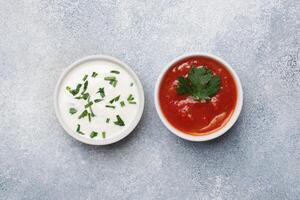 Ketchup mayonnaise greens in plates on a gray concrete table with copy space. photo