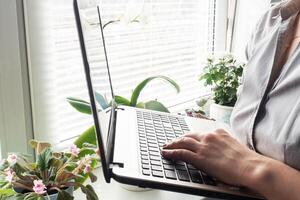Woman working at computer hands at home. Concept of working and learning at home. Copy space. photo