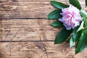 Pink peony flowers with leaves on a wooden background with copy space. Greeting card with a place for text or product placement, photo