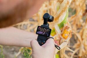 A Caucasian person filming ripe corn with a handheld camera in an autumn harvest setting, emphasizing agricultural documentation and seasonal farming photo