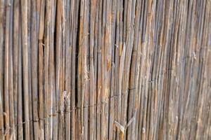 Close up of a rustic bamboo fence, representing eco friendly construction and privacy solutions photo