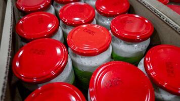 Cardboard box filled with sealed glass jars of food with red lids, related to food preservation and storage solutions photo