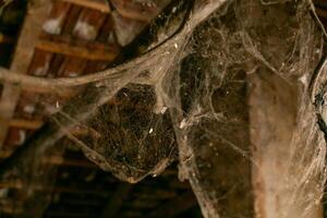 Close up of old cobwebs in an abandoned attic, perfect for Halloween themes or illustrating neglect and decay photo