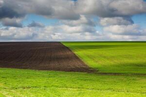 Green field under blue sky with white clouds. Green meadow. Cultivated agricultural field in the countryside. photo