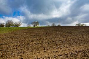 Green field under blue sky with white clouds. Green meadow. Cultivated agricultural field in the countryside. photo