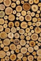 Pile of firewood in a forest. Background of wooden logs stacked in a pile. Wood texture. photo